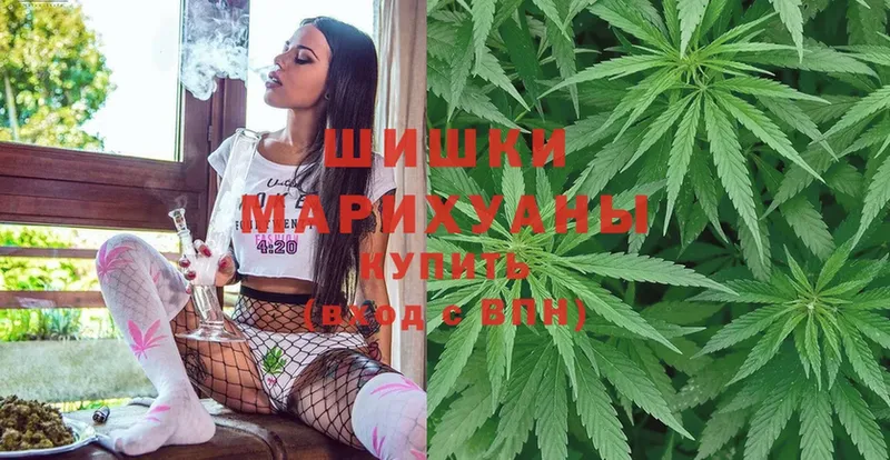 Бошки марихуана OG Kush  это телеграм  Шадринск  сколько стоит 